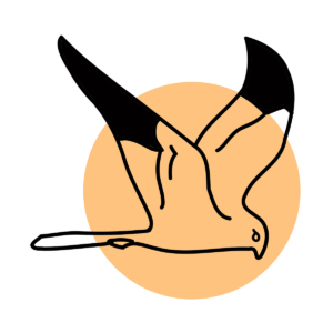 Ilustracja przedstawia grafikę ptaka błotniaka łąkowego