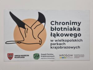 nalepka z informacją o projekcie ochrony błotniaka łąkowego w wielkopolskich parkach krajorbazowych