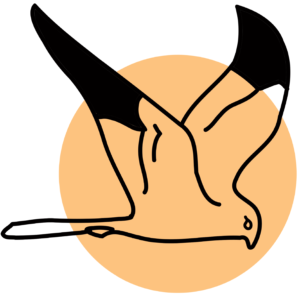 logo akcji ochrony błotniaka łąkowego