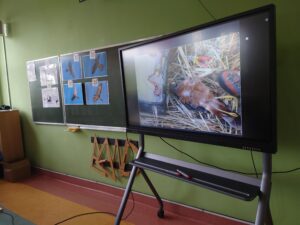 Sala szkolna przygotowana do zajęć o ptakach drapieżnych. Widać tablicę multimedialną.