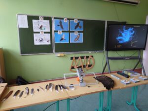 Sala szkolna przygotowana do zajęć o ptakach drapieżnych. Widać zdjęcia ptaków.