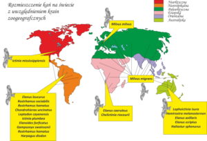 Ilustracja schematyczna mapę świata przedstawiająca