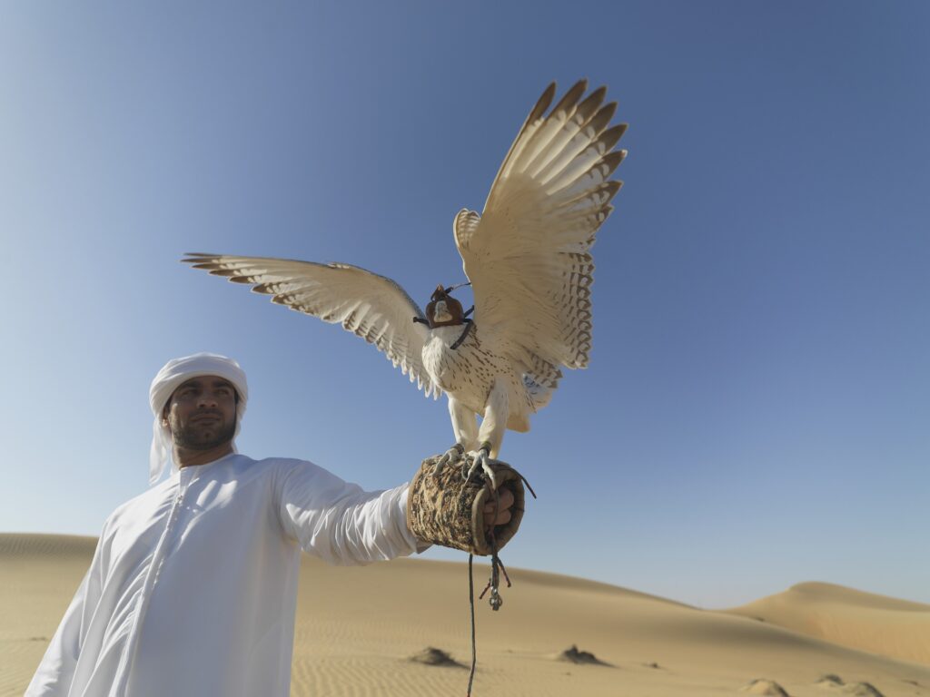 Zdjęcie przedstawia arabskiego sokolnika na tle pustyni.
