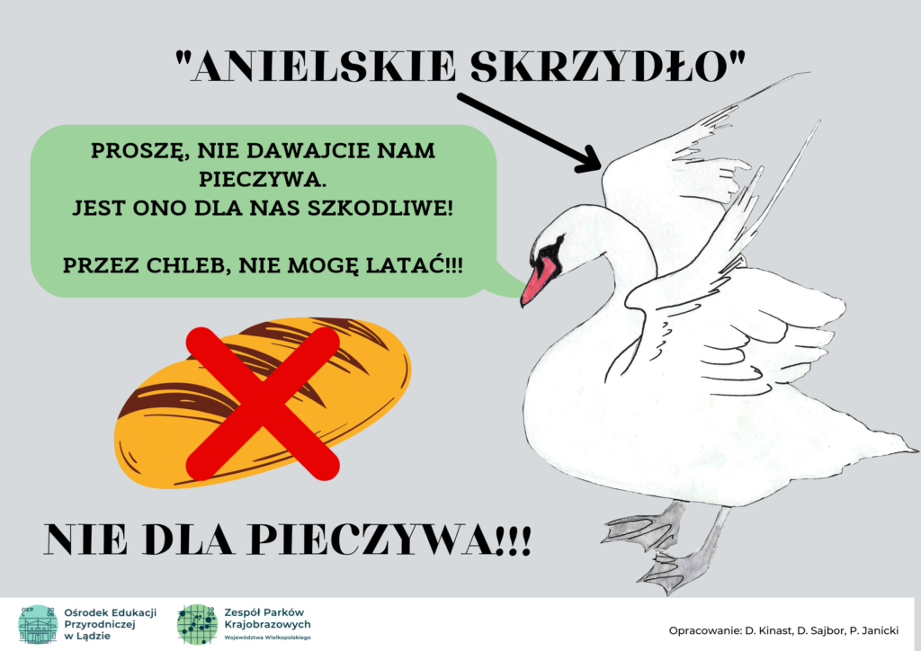 Zdjęcie przedstawia infografikę "Anielskie skrzydło", a w niej łabędzia, który mówi "Proszę, nie dawajcie nam pieczywa. Jest ono dla nas szkodliwe! Przez chleb, nie mogę latać!!! Nie dla pieczywa"