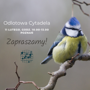 Sikorka na gałęzi oraz tekst: Odlotowa Cytadela, 11 lutego, godz. 10.00-13.00, Poznań. Zapraszamy!
