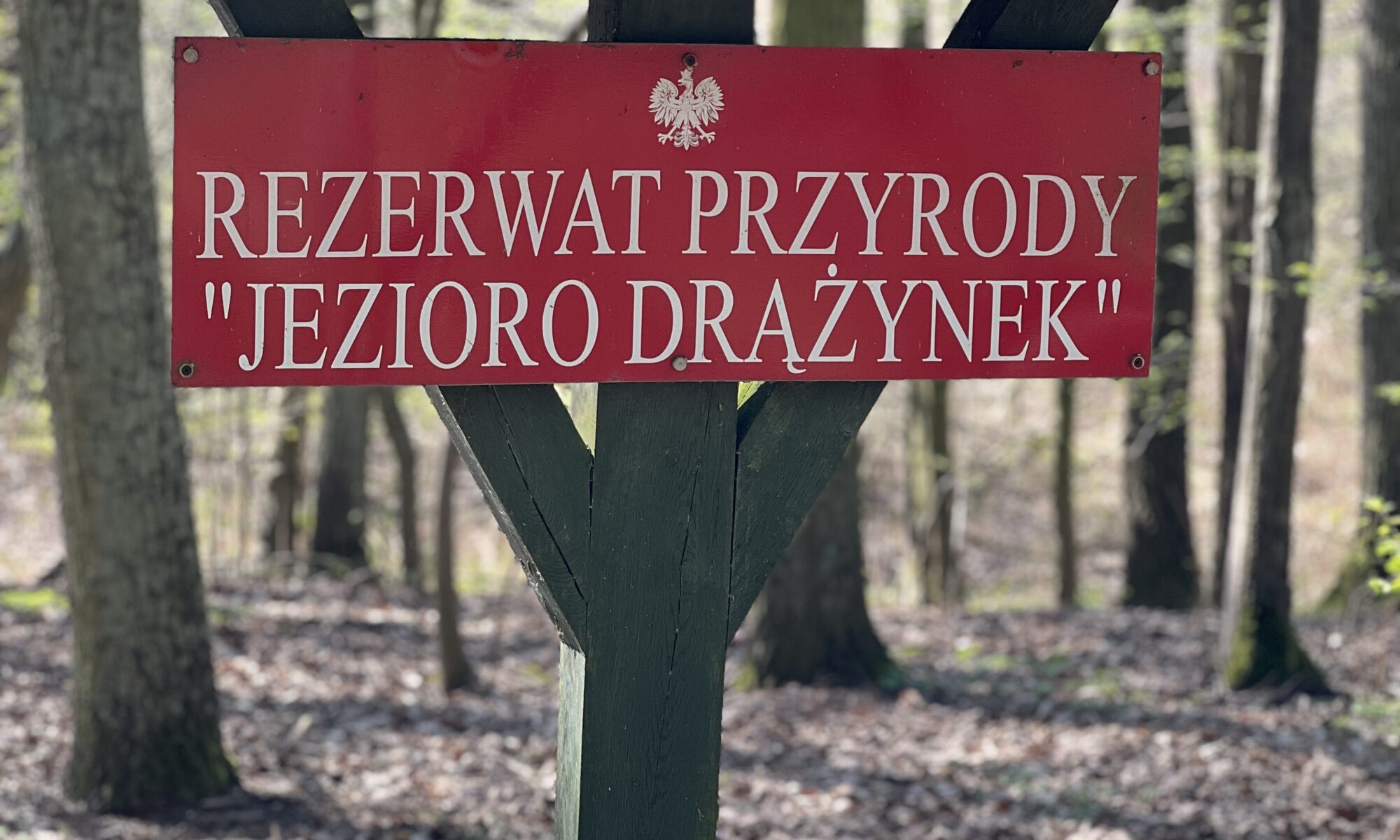 tablica z napisem "rezerwat przyrody Jezioro Drążynek"