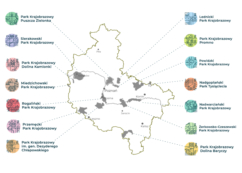 Mapa przedstawia znaki parków krajobrazowych na bokach obrazka, liniami wskazujące obszary na których leżą na mapie konturowej województwa Wielkopolskiego. Na mapie zaznaczone są większe miasta wielkopolski oraz przebieg rzeki Warty.  