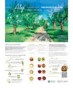 Obrazek przedstawia graficzną informację dotyczącą jabłoni, odmian i ich wykorzystania przez człowieka na przestrzeni dziejów. Nad częścią informacyjną góruje ilustracja przedstawiająca aleję drzew jabłoniowych.
