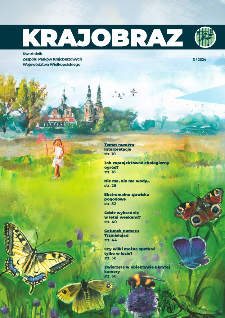 Okładka magazynu. Widać na niej malowaną łąkę, dziecko z siatką na owady oraz kolorowe motyle i trzmiela. W tle klasztor w Lądzie.