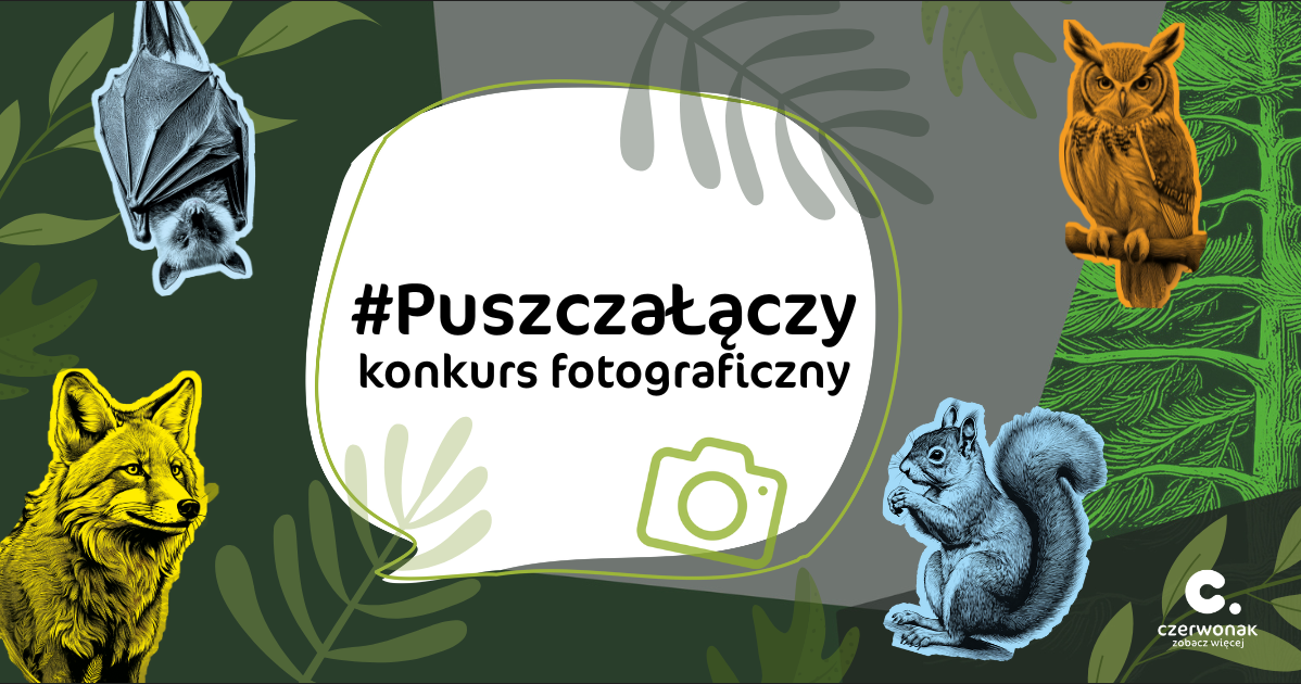 Plakat informacyjny zawierający tytuł konkursu i kolorowe wizerunki zwierząt na fantazyjnym tle.